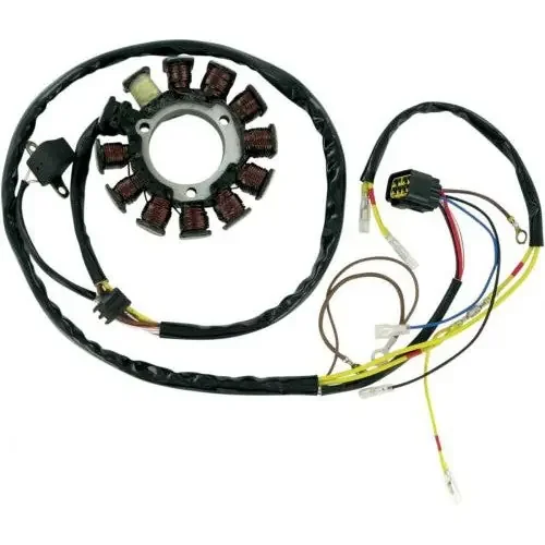 12 Pole Stator for Polaris Scrambler 500 2×4 2002-2006 Ricks