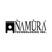 1988-2000 Honda TRX300/FOURTRAX/FW 74.45 CC Namura Piston Kit .020
