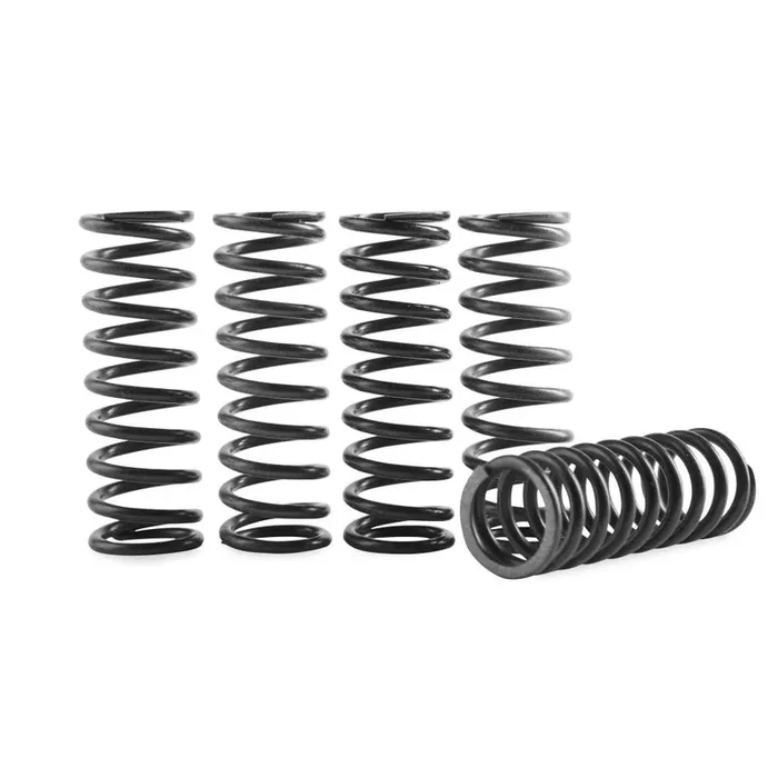 Hinson Clutch Spring Kit High Temp – CS330-5-0509