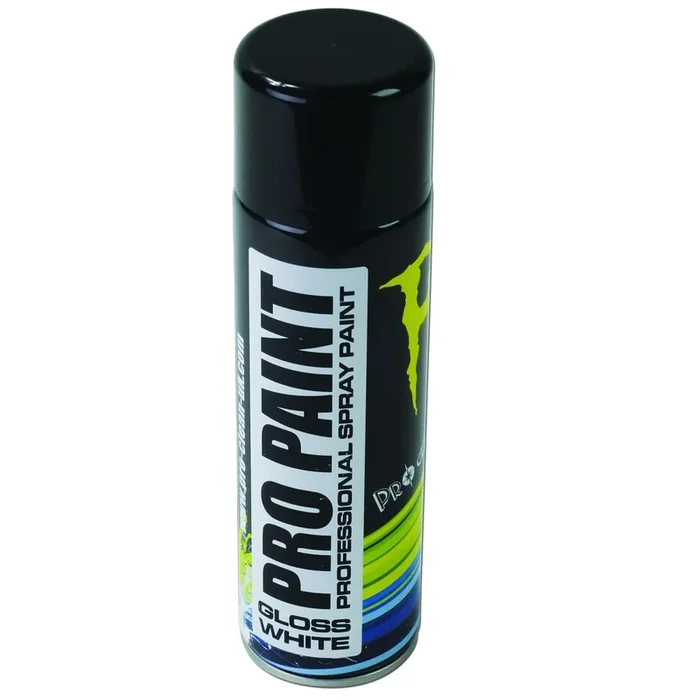 Pro Paint Gloss White Professional Paint